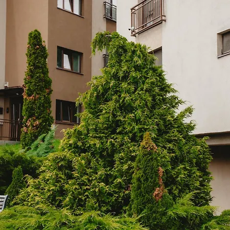 Apartment Sunny Hill Panorama - Napoca - Parcare Gratuita, Self Check In 24h, Aeroport 15 Minute! *