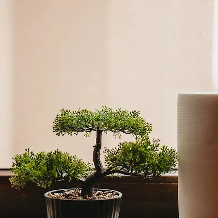 Sunny Hill Panorama - Napoca - Parcare Gratuita, Self Check In 24h, Aeroport 15 Minute! * קלוז'-נאפוקה