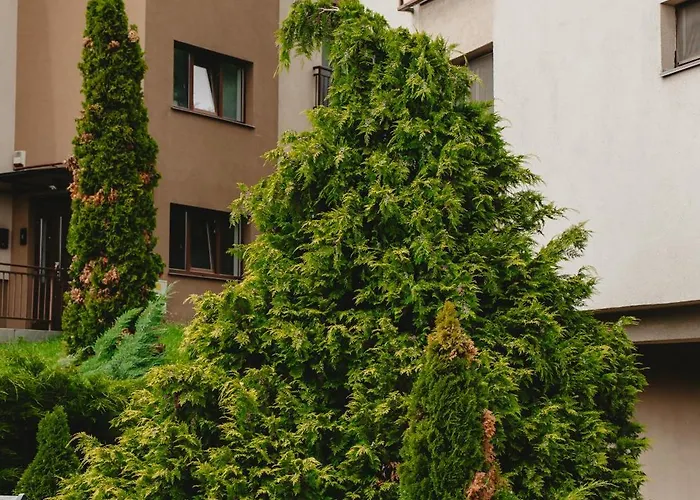 Apartment Sunny Hill Panorama - Napoca - Parcare Gratuita, Self Check In 24h, Aeroport 15 Minute! *