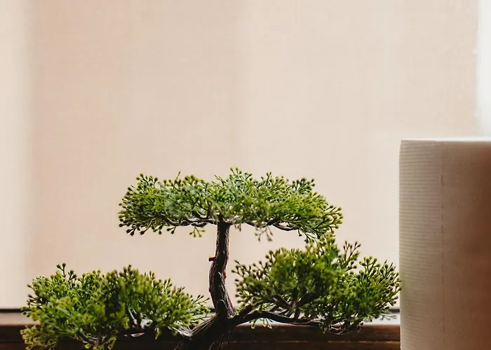 Sunny Hill Panorama - Napoca - Parcare Gratuita, Self Check In 24h, Aeroport 15 Minute! * Cluj-Napoca